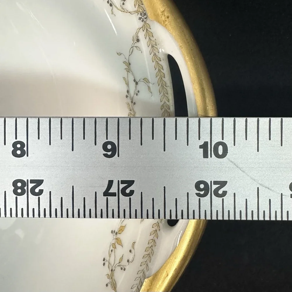 Haviland & Co. Limoges 9